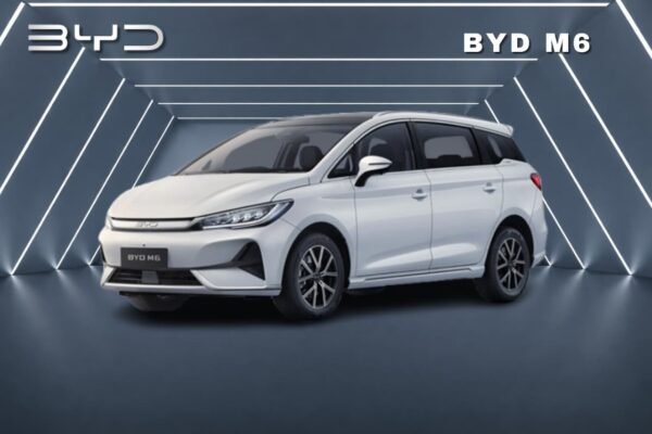 BYD M6